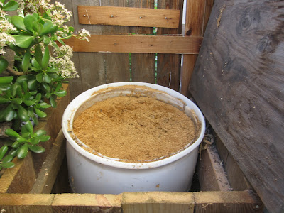 Cat Poop Compost Installment #2 Root Simple