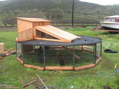 Picture Sundays: A Chicken Coop Made From a Trampoline 