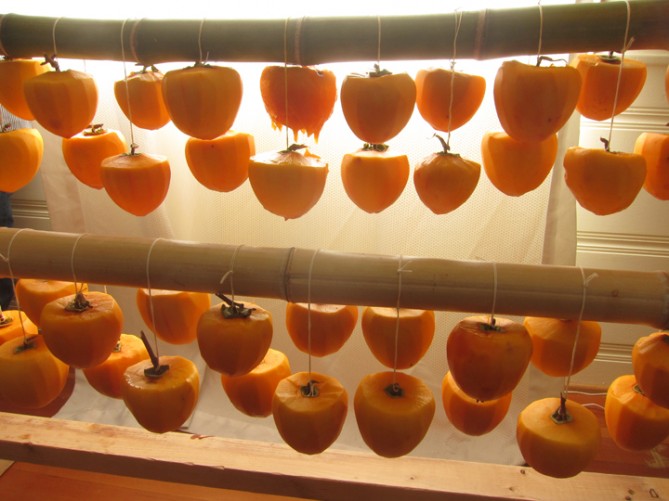 Dring Hanger for Persimmon Made in Korea Dried persimmon Vegetable Drying Rack
