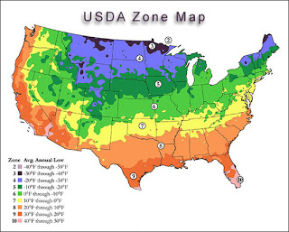 USDA Zone Based Veggie Planting Schedule | Root Simple