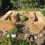 straw bale garden