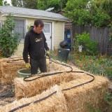 straw bale garden--watering the bales