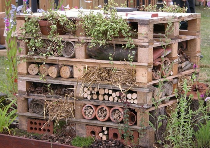 wildlife-trust-insect-hotel