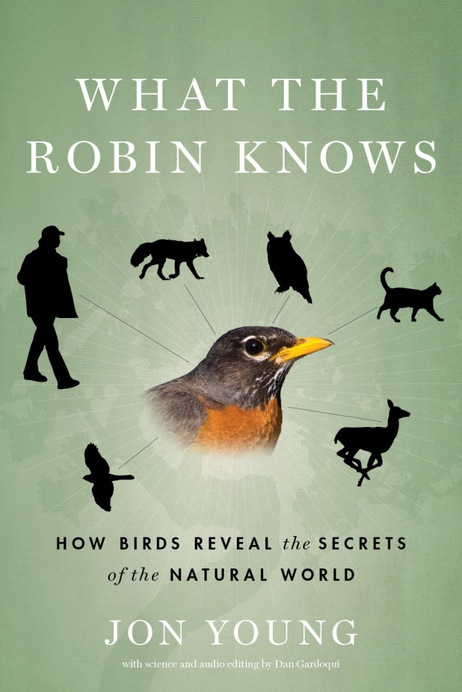 What-the-Robin-Knows
