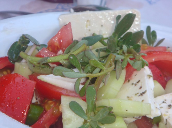 Purslane in a Greek salad. Image: Wikipedia.