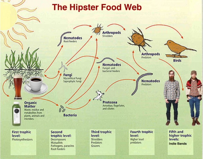 An updated, urban version of the soil food web.
