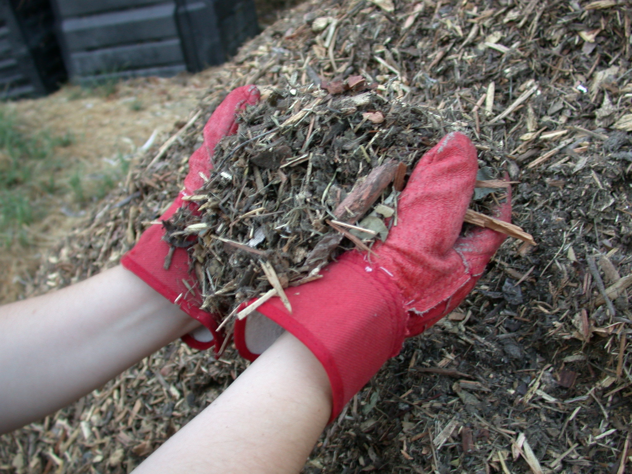 Yet More Reasons To Mulch Root Simple Yet More Reasons To Mulch Root Simple