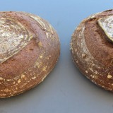 sonora wheat loaf and joachin oro wheat loaf