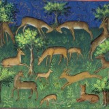 medieval image of deer