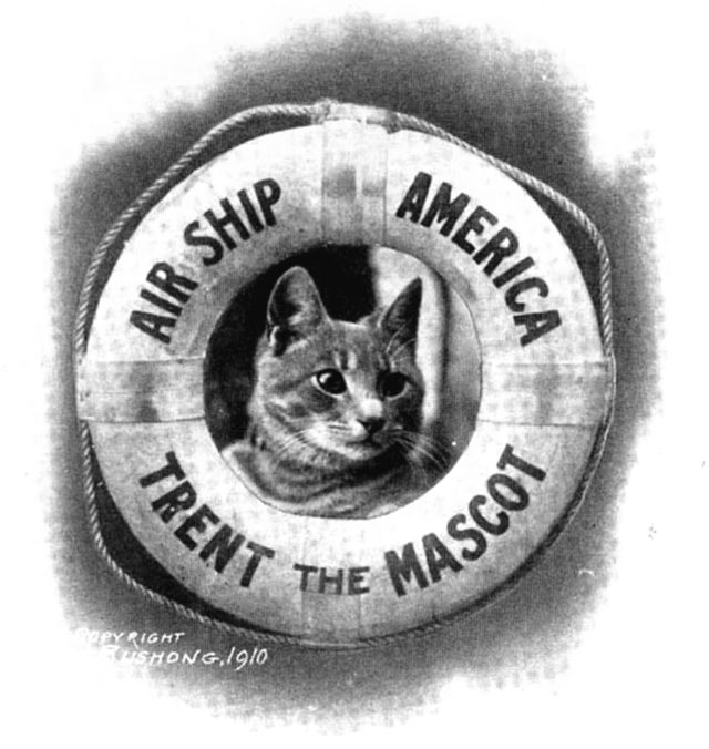 Mascot of America-1ce-588