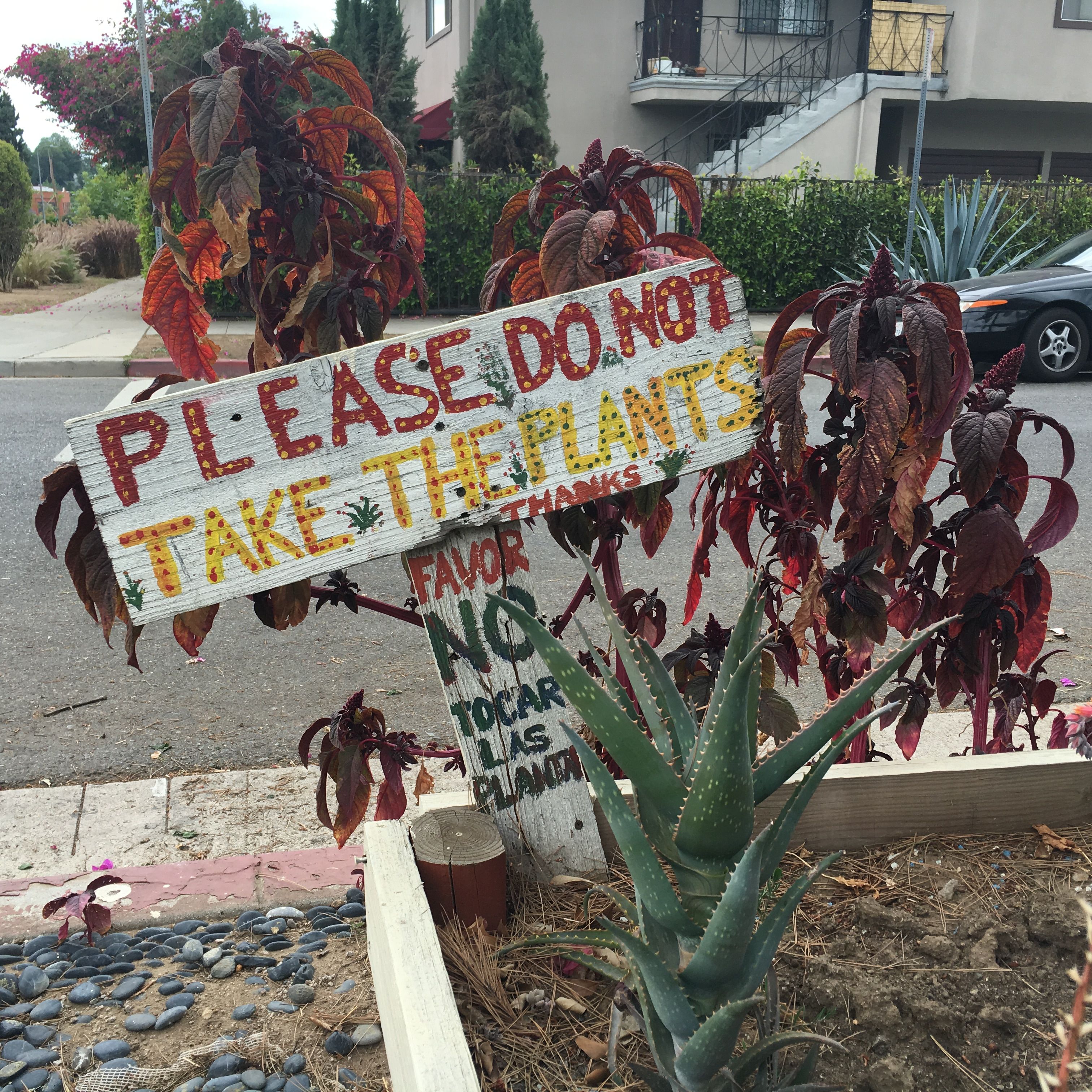 don't steal plants