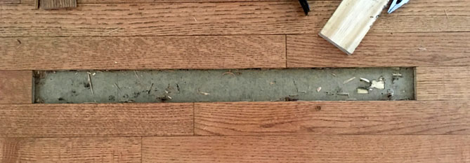 Termite Damaged Hardwood Floor, How To Get Rid Of Termites In Hardwood Floor