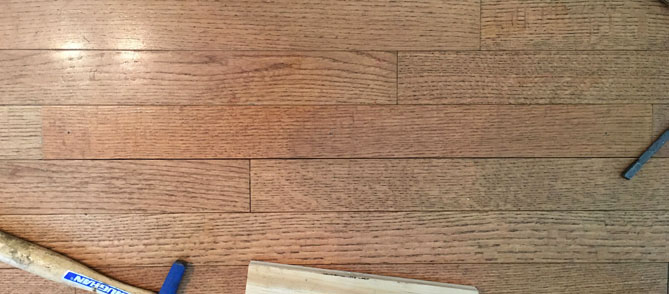 How To Fix A Termite Damaged Hardwood Floor Root Simple